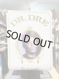 ラスト1枚で終了 Dr. Dre / The Chronic ポスター (90cm x 60cm)