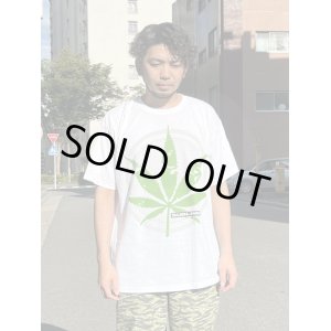 画像2: Lサイズラスト1枚で終了 SUBLIME / Giant Pot Leaf 420 Tシャツ