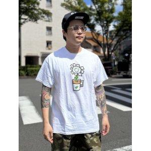 画像2: 売り切れ次第廃番 OAKLAND COFFEE WORKS / FLOWER POT Tシャツ WHITE