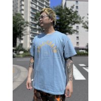 FUCKIN' MELLOW CLOTHING / BALL&CHAIN artwork by PICTURE MOUSE 半袖 Tシャツ STONE BLUE