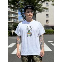 売り切れ次第廃番 OAKLAND COFFEE WORKS / FLOWER POT Tシャツ WHITE