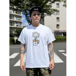 画像1: 売り切れ次第廃番 OAKLAND COFFEE WORKS / FLOWER POT Tシャツ WHITE