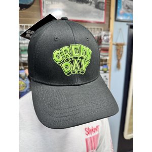 画像1: GREEN DAY / Dookie Logo スナップバックキャップ