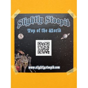 画像2: SUBLIME DJ PRODUCT 買い付けアイテム 2枚限定 Slightly Stoopid / Top of the World 12インチレコードポスター (30.5センチx30.5センチ)