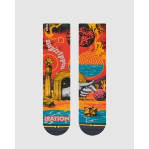 画像3: MERGE4 SOCKS / IRATION - Daytrippin ソックス