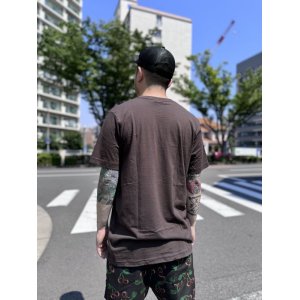 画像5: 送料無料 Lサイズ限定1枚のみ SEVEN SEAS ROASTING CO / San Diego's Coffee Flagship Tシャツ