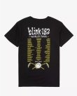 画像9: 送料無料 カリフォルニア買付アイテム M、L、XL各1枚づつで終了 BLINK182 / World Tour Tシャツ (9)