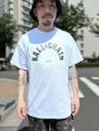 画像2: FUCKIN' MELLOW CLOTHING / BALL&CHAIN artwork by PICTURE MOUSE 半袖 Tシャツ WHITE (2)