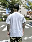 画像6: 売り切れ次第廃番 OAKLAND COFFEE WORKS / FLOWER POT Tシャツ WHITE (6)