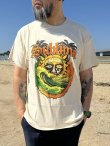 画像1: 送料無料 XLサイズラスト1枚で終了 カリフォルニア買付アイテム SUBLIME / Palm Tree Tシャツ (1)