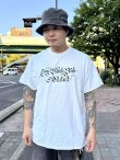 画像3: LONG BEACH DUB ALLSTARS / Classic Logo Tシャツ ホワイト (3)