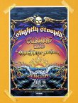 画像1: SUBLIME DJ PRODUCT 買い付けアイテム 6枚限定 Slightly Stoopid Summer Time 2023 Tour ポスター (43センチx28センチ) (1)