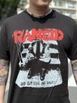 画像4: 送料無料 カリフォルニア買付アイテム L、XL各1枚づつで終了 RANCID / ...And Out Come The Wolves Tシャツ (4)