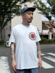 画像5: 送料無料 カリフォルニア買付アイテム Mサイズラスト1枚で終了 Red Hot Chili Peppers / Red & Black Logo Tシャツ (5)