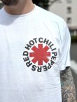 画像8: 送料無料 カリフォルニア買付アイテム Mサイズラスト1枚で終了 Red Hot Chili Peppers / Red & Black Logo Tシャツ (8)