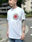 画像7: 送料無料 カリフォルニア買付アイテム Mサイズラスト1枚で終了 Red Hot Chili Peppers / Red & Black Logo Tシャツ (7)