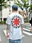 画像1: 送料無料 カリフォルニア買付アイテム Mサイズラスト1枚で終了 Red Hot Chili Peppers / Red & Black Logo Tシャツ (1)