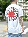 画像3: 送料無料 カリフォルニア買付アイテム Mサイズラスト1枚で終了 Red Hot Chili Peppers / Red & Black Logo Tシャツ (3)