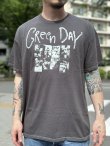 画像3: 送料無料 カリフォルニア買付アイテム GREEN DAY / Photo Collage Tシャツ (3)