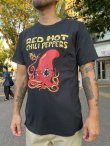 画像1: XLラスト1枚で終了 Red Hot Chili Peppers / Octopus Tシャツ (1)