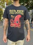 画像3: XLラスト1枚で終了 Red Hot Chili Peppers / Octopus Tシャツ (3)