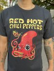 画像4: XLラスト1枚で終了 Red Hot Chili Peppers / Octopus Tシャツ (4)